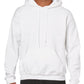 Basic Hoodie